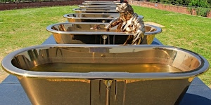 vasche, oro, erba, prato, verde, statua, prospettiva, acqua, sculture, uomo, arte, muretto, originalità, ottone, giardino, scultura