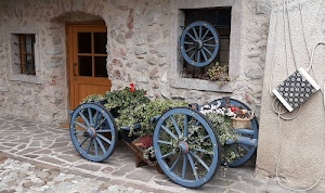 ruote, porta, carretto, finestre, piante, fiori, fioriera, pietre, azzurro, raggi, casa, muro, grata, legno, fiore, vasi